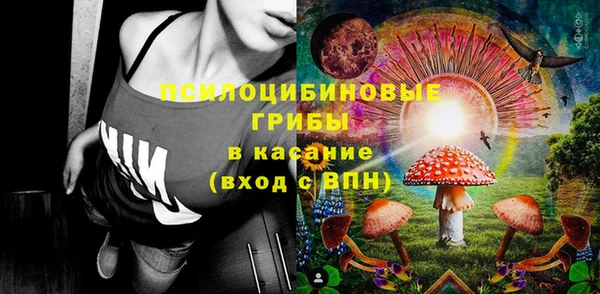 ГАЛЛЮЦИНОГЕННЫЕ ГРИБЫ Абдулино
