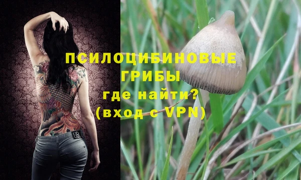 ГАЛЛЮЦИНОГЕННЫЕ ГРИБЫ Абдулино