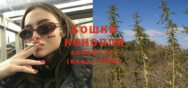 дживик Нея