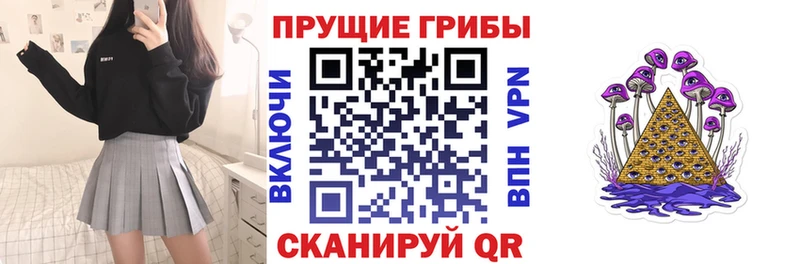 где купить наркоту  Княгинино  МЕГА ONION  Галлюциногенные грибы GOLDEN TEACHER 